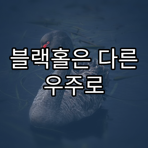 블랙홀은 다른 우주로 통하는 문일까?