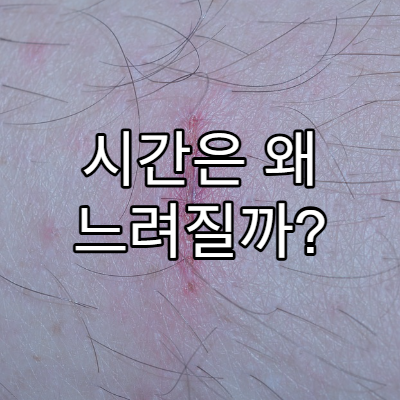 시간은 왜 느려질까? 상대성이론으로 이해하기
