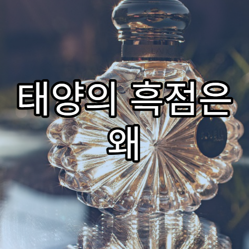 태양의 흑점은 왜 생기고 사라질까?
