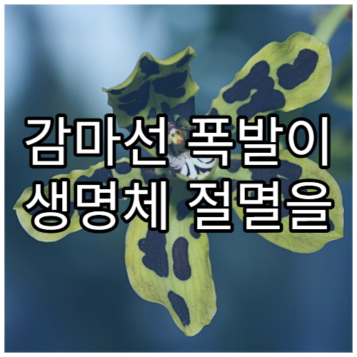 감마선 폭발이 생명체 절멸을 부르는 이유