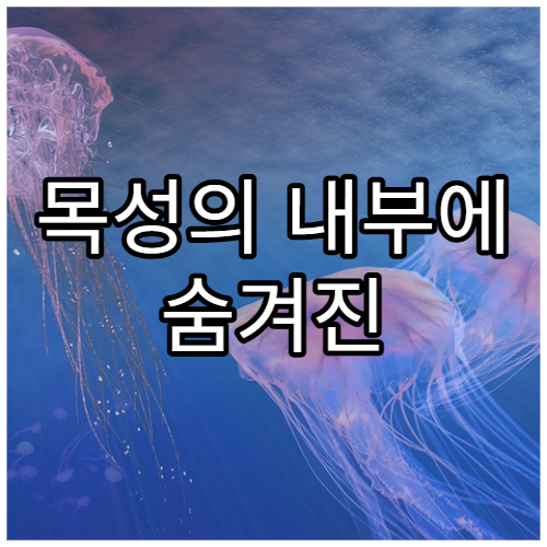 목성의 내부에 숨겨진 금속 수소층