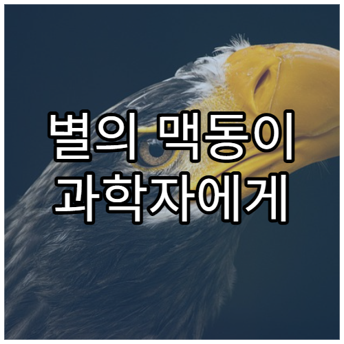 별의 맥동이 과학자에게 주는 정보
