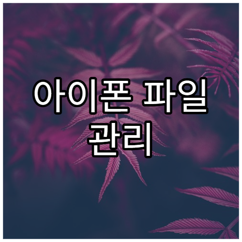 아이폰 파일 관리 기본부터 정리