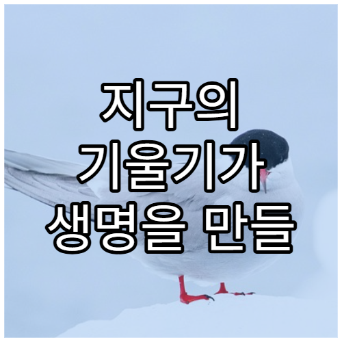 지구의 기울기가 생명을 만들 수 있었던 이유