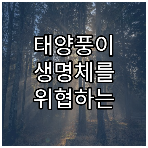 태양풍이 생명체를 위협하는 이유