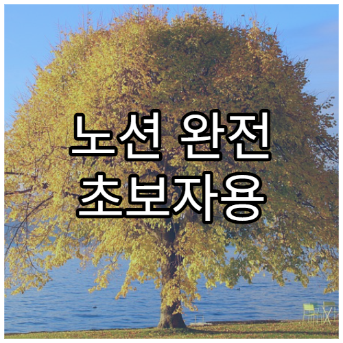 노션 완전 초보자용 설치·세팅 가이드