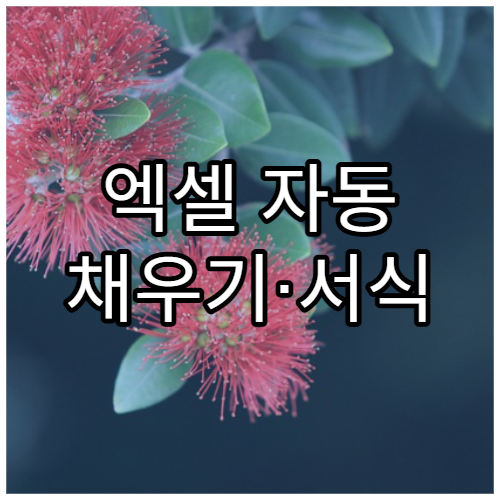 엑셀 자동 채우기·서식 규칙 활용법