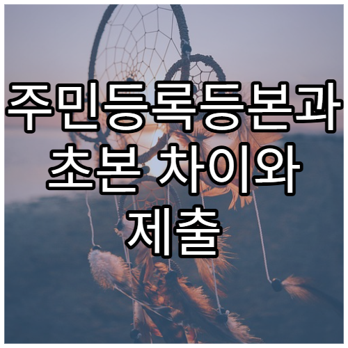 주민등록등본과 초본 차이와 제출 용도 정리