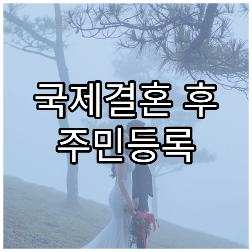 국제결혼 후 주민등록 정리 방법
