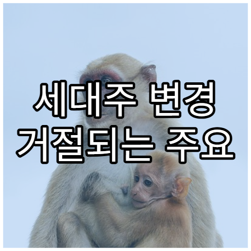 세대주 변경 거절되는 주요 사유 정리