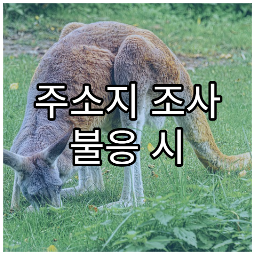 주소지 조사 불응 시 발생하는 행정 조치