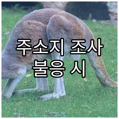 주소지 조사 불응 시 발생하는 행정 조치