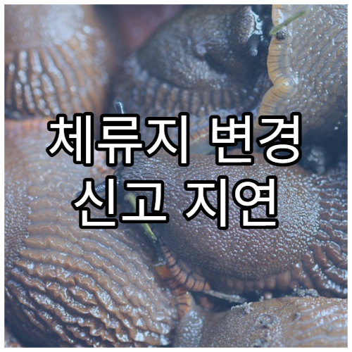 체류지 변경 신고 지연 시 과태료 기준