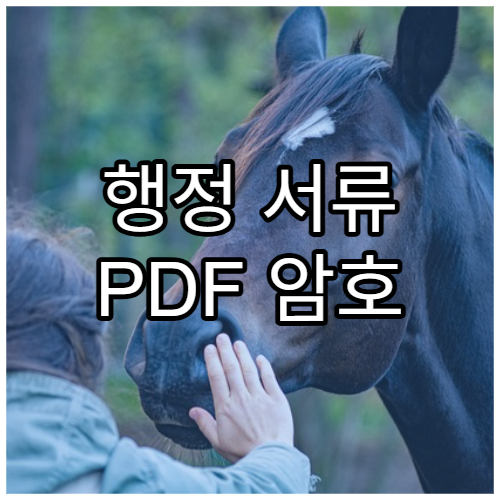 행정 서류 PDF 암호 설정 이유와 해제 방법