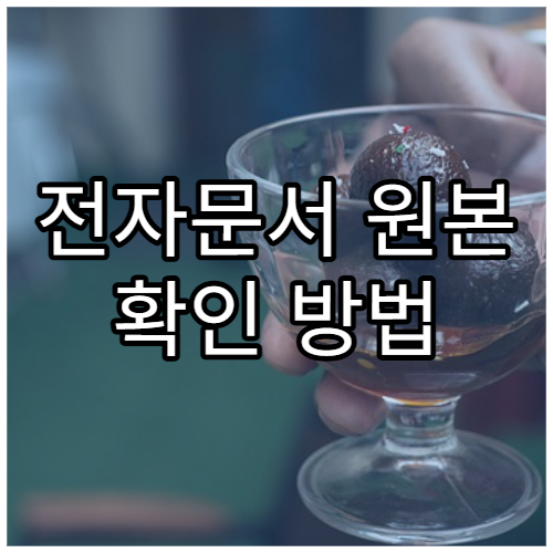 전자문서 원본 확인 방법 해외용 정리